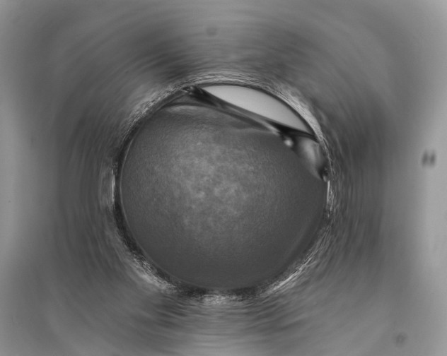 X0000094900109200712201143