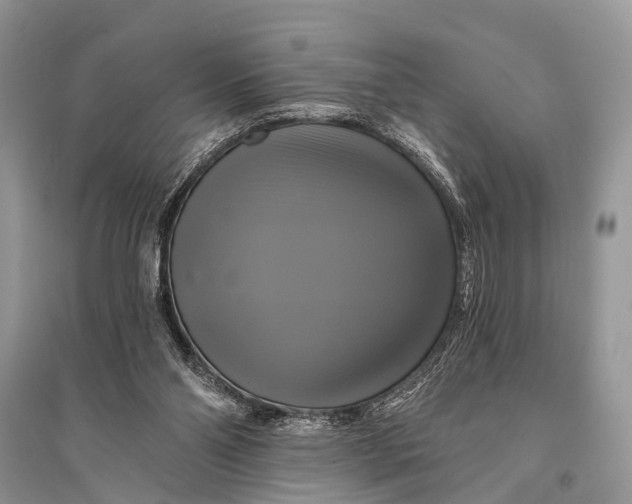 X0000094900110200712201143