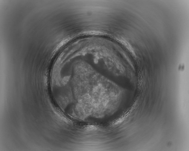 X0000094900111200712201143