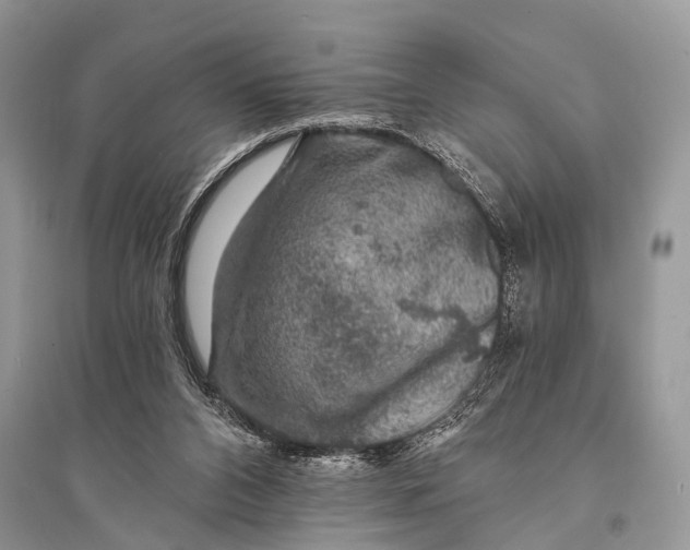 X0000094900112200712201143