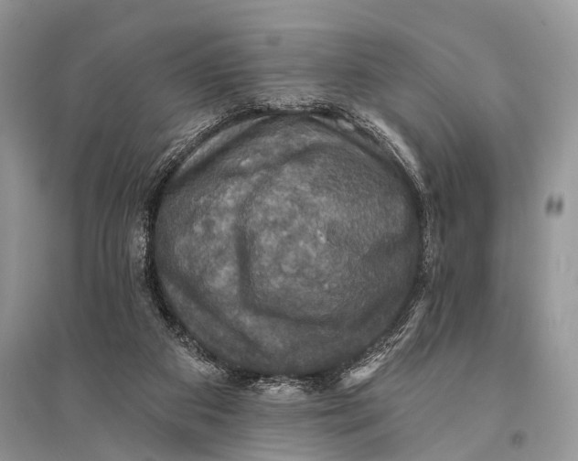 X0000094900113200712201143