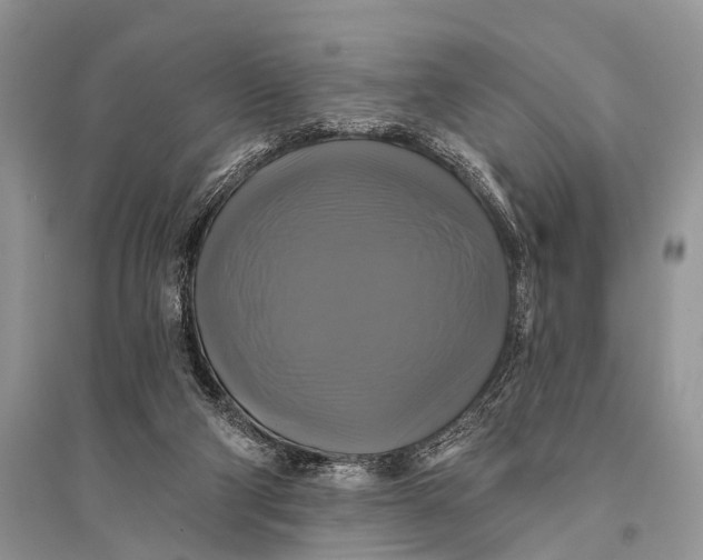 X0000094900114200712201143