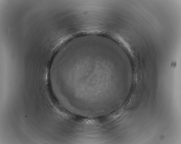 X0000094900115200712201143