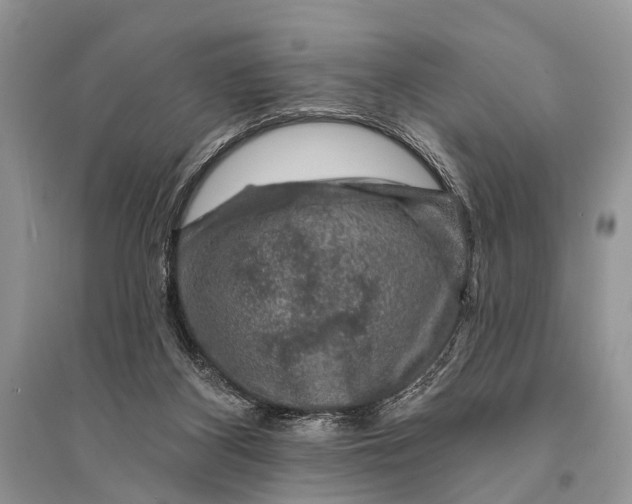 X0000094900116200712201143