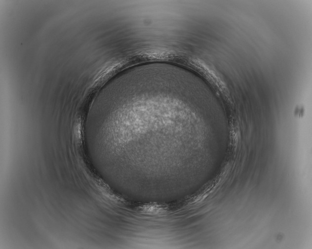 X0000094900117200712201143