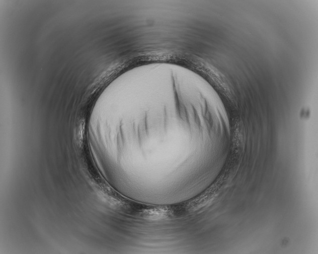 X0000094900118200712201143