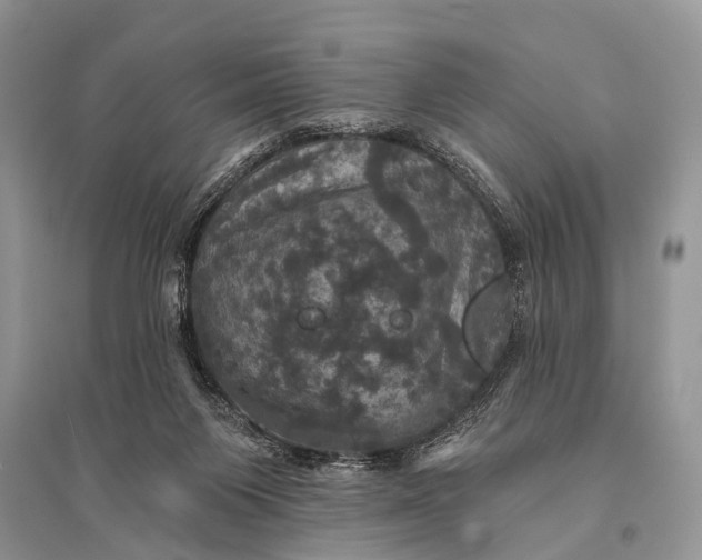 X0000094900119200712201143