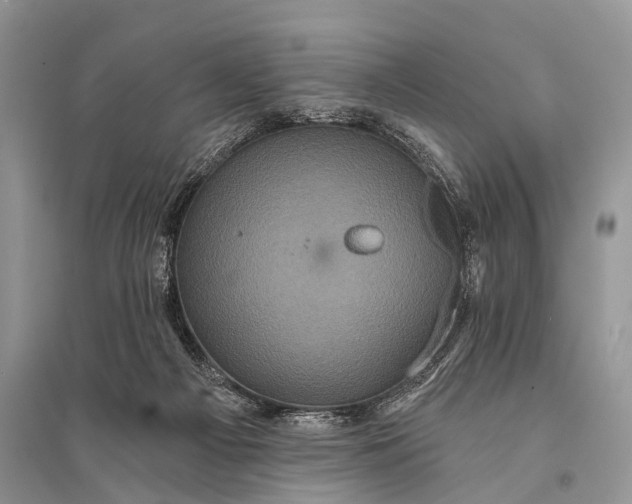 X0000094900121200712201143