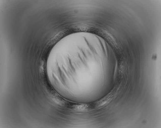 X0000094900122200712201143