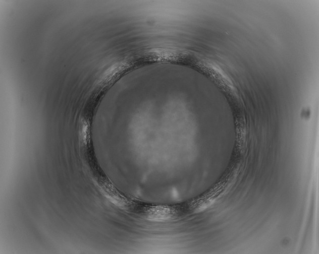 X0000094900123200712201143