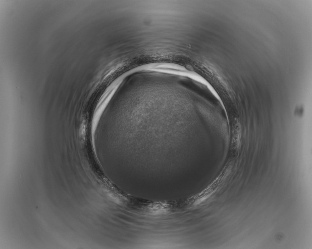 X0000094900124200712201143