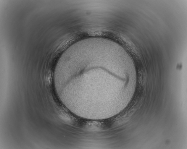 X0000094900125200712201143