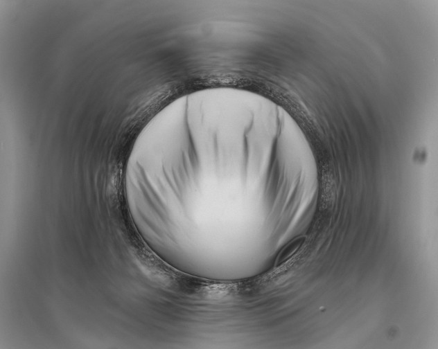 X0000094900126200712201143