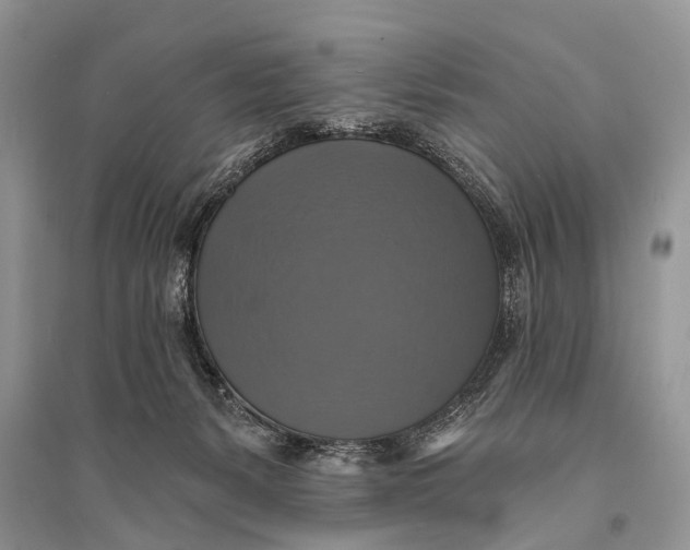 X0000094900127200712201143