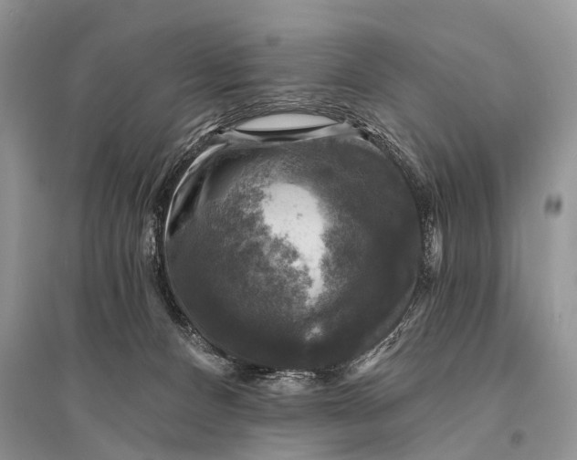 X0000094900128200712201143