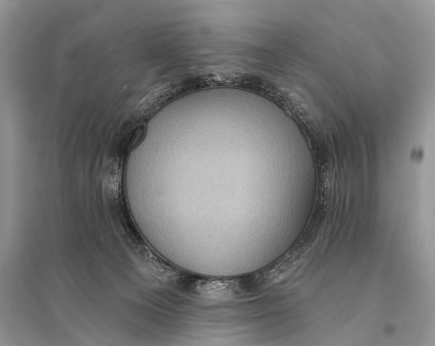 X0000094900129200712201143