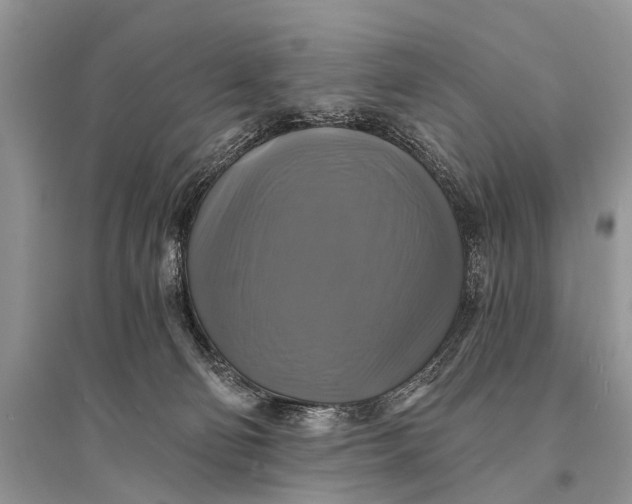 X0000094900130200712201143