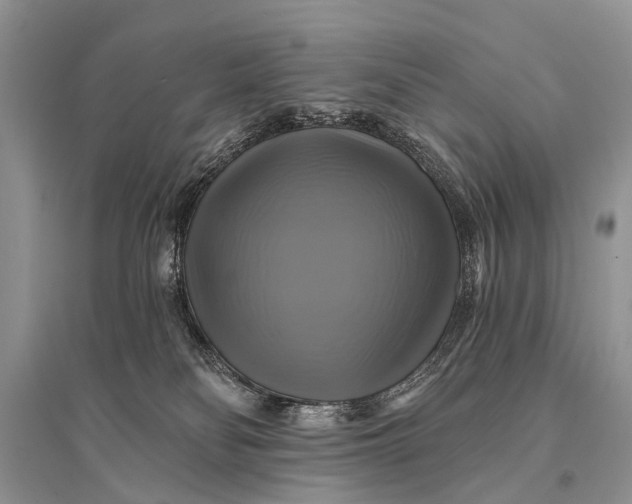 X0000094900134200712201143