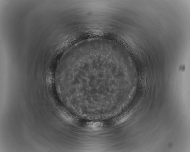 X0000094900135200712201143