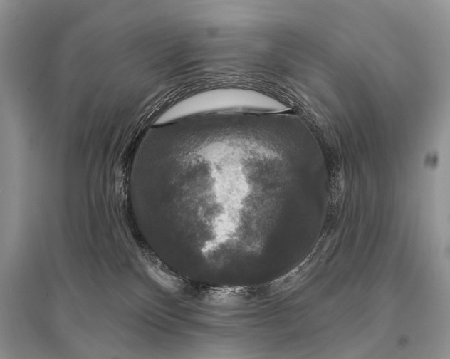 X0000094900136200712201143