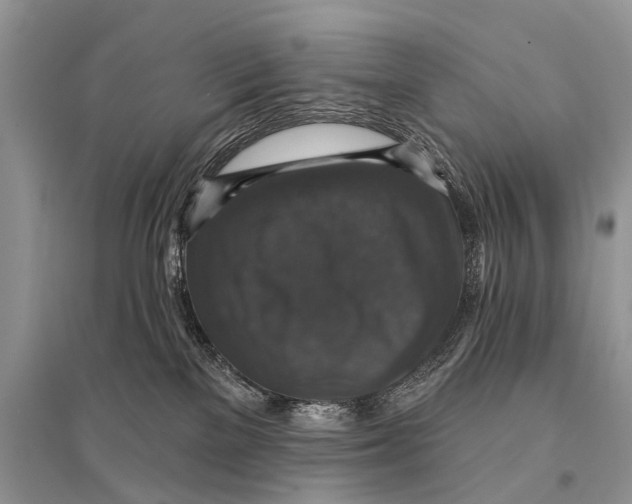 X0000094900137200712201143