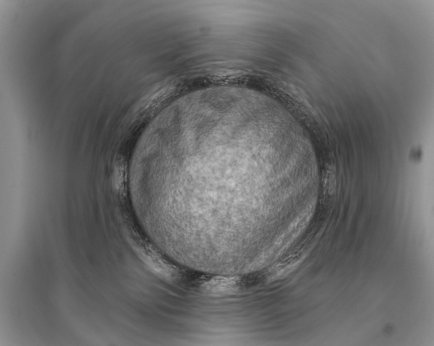 X0000094900138200712201143