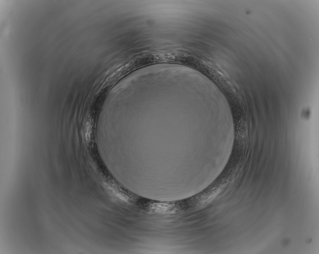 X0000094900139200712201143