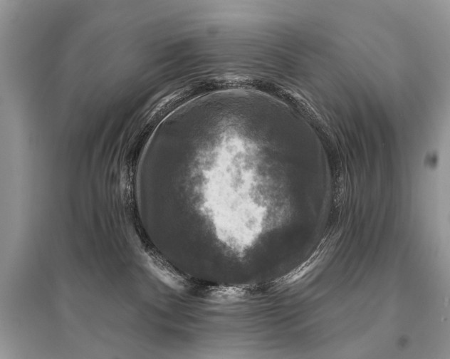 X0000094900140200712201143