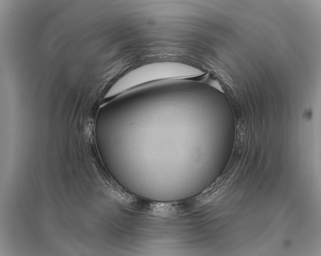 X0000094900141200712201143