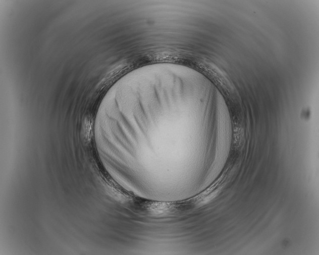 X0000094900142200712201143