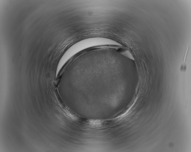 X0000094900144200712201143