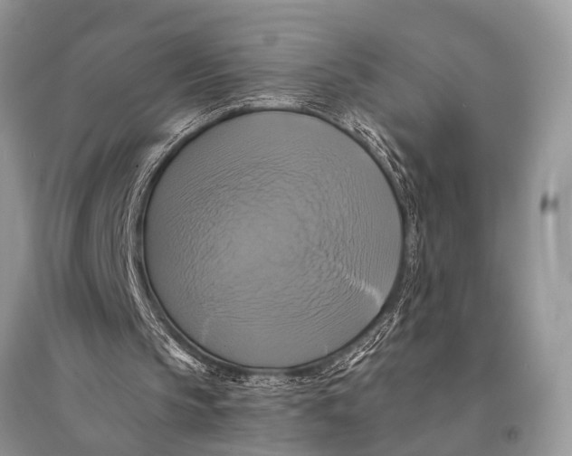 X0000094900145200712201142