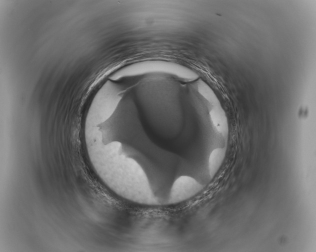 X0000094900146200712201142