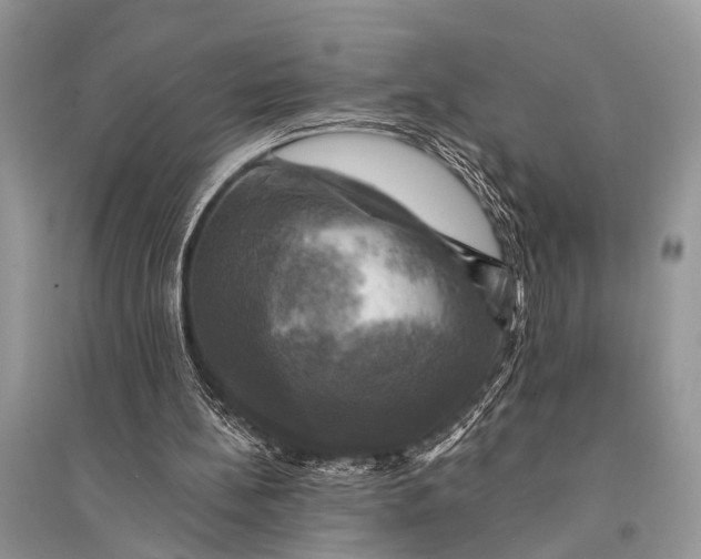 X0000094900148200712201142