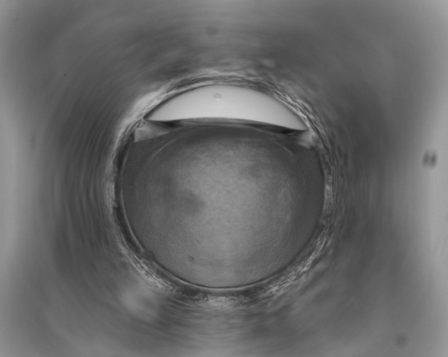 X0000094900149200712201142