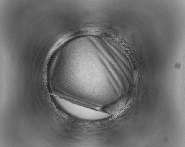 X0000094900150200712201142