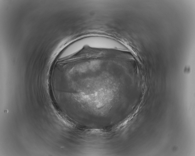 X0000094900151200712201142