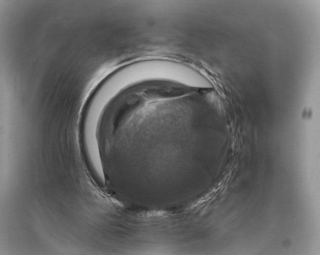 X0000094900152200712201142