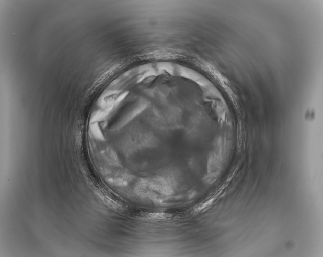 X0000094900153200712201142