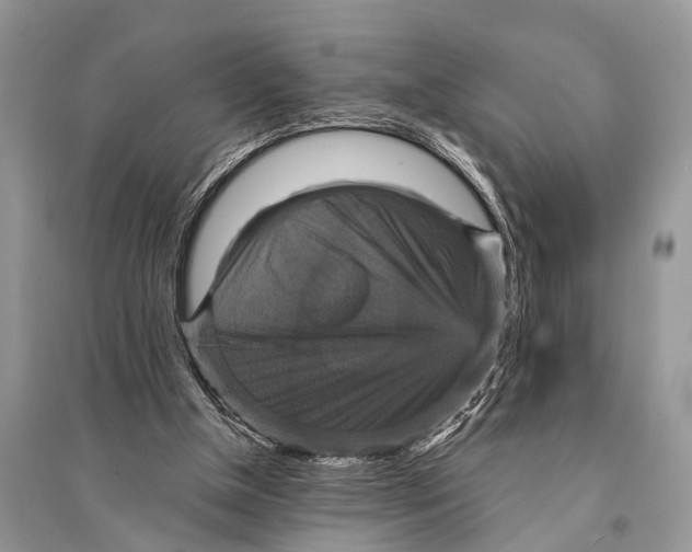 X0000094900154200712201142