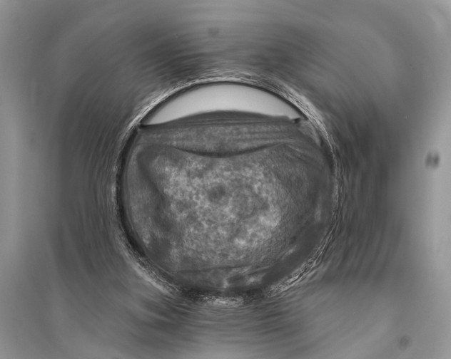 X0000094900155200712201142