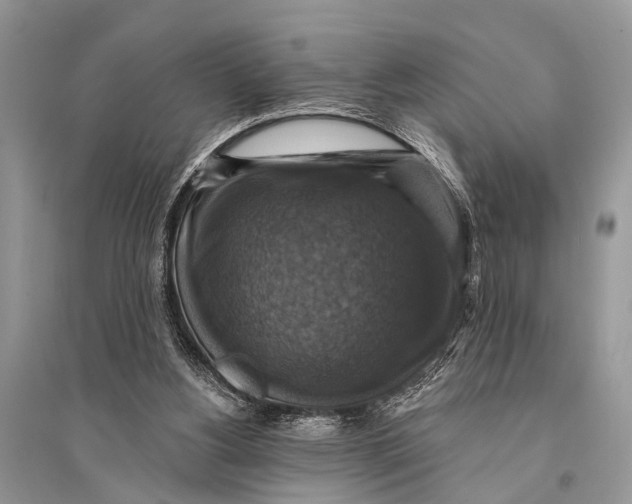 X0000094900156200712201142