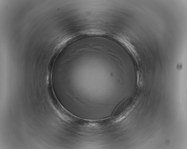 X0000094900157200712201142