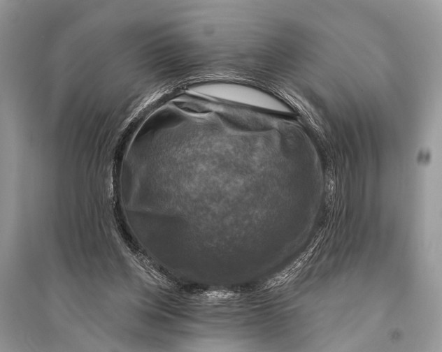 X0000094900158200712201142