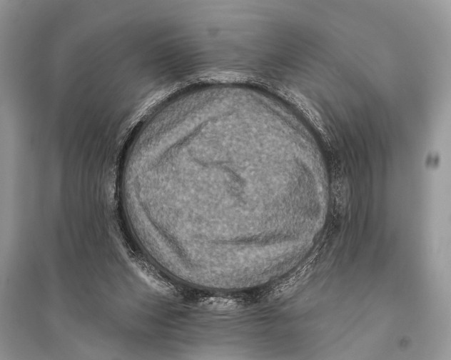 X0000094900159200712201142