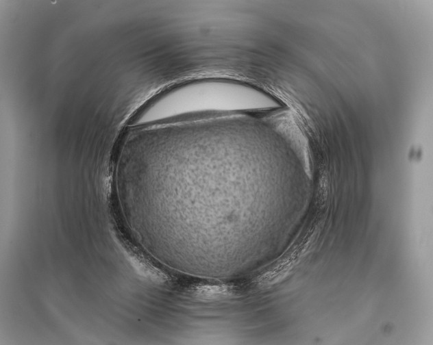 X0000094900160200712201142