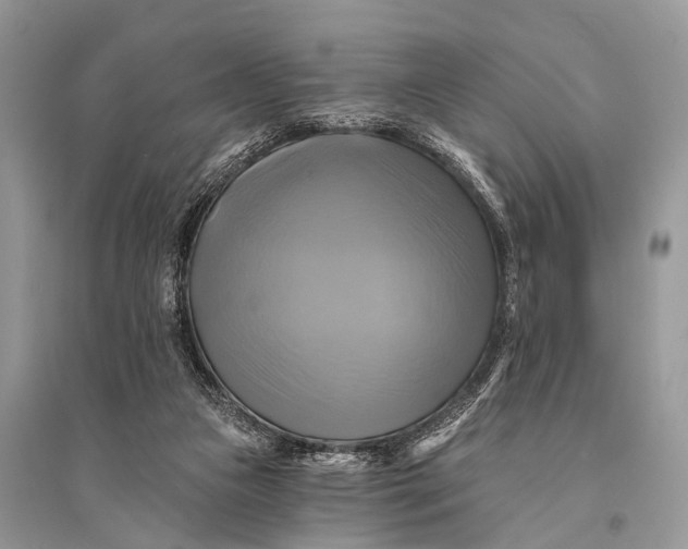 X0000094900161200712201142