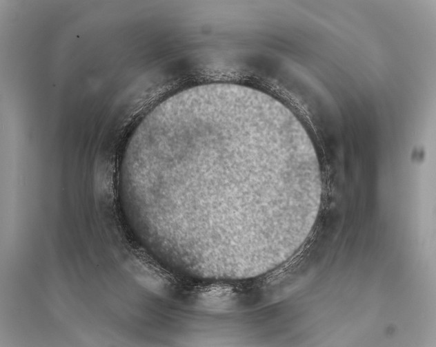 X0000094900162200712201142