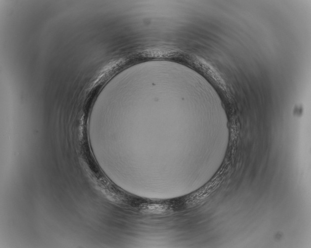 X0000094900163200712201142