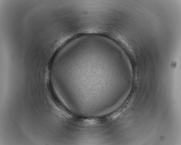 X0000094900164200712201142